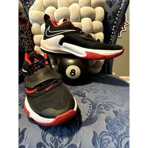 Nike Zoom Freak 3 Antetokounmpo Bred Black Red Size 9